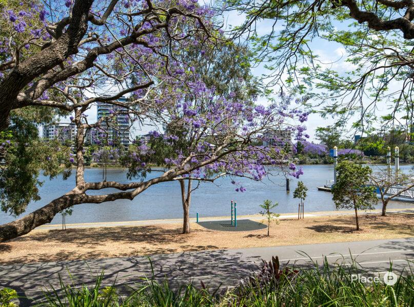 8/37 Duncan Street, West End, QLD 4101