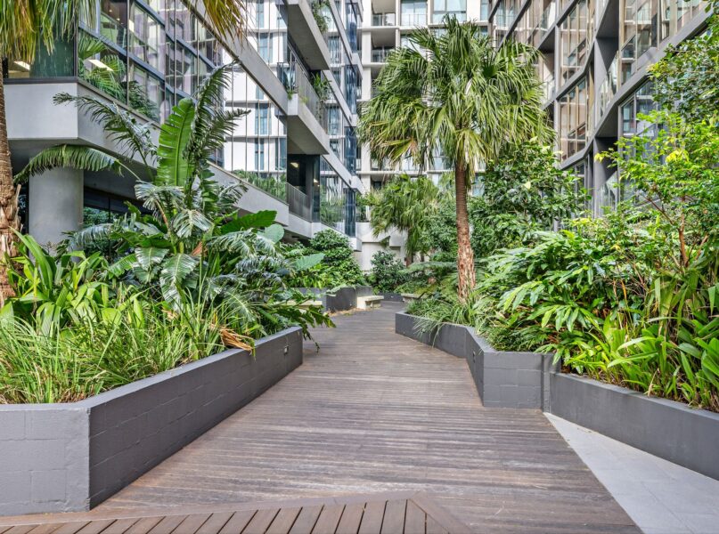 41004/1033 Ann Street, Newstead, QLD 4006